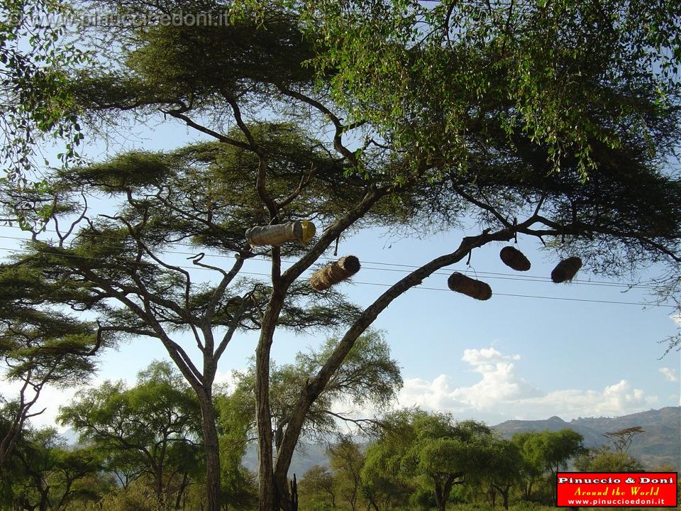 Ethiopia - 328 - Honey.jpg